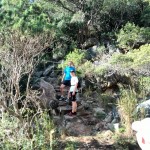 Table Mountain Trail Running Tour Cape Town