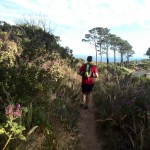 Lion's Head trail run in Cape Town